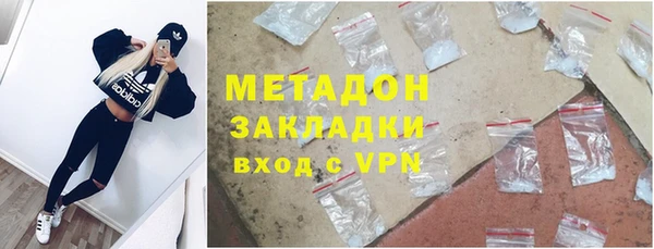 молекула духа Вяземский