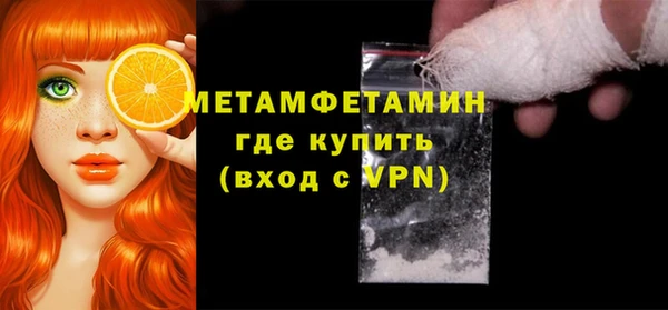 молекула духа Вяземский