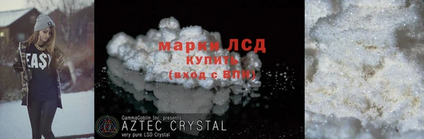 молекула духа Вяземский