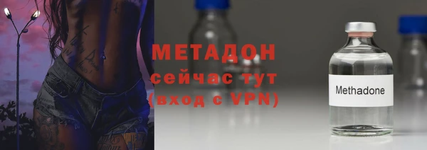 молекула духа Вяземский