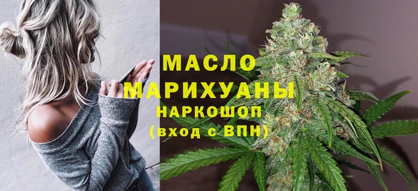 молекула духа Вяземский