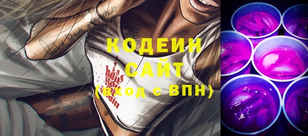 молекула духа Вяземский