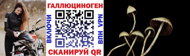Псилоцибиновые грибы мухоморы  МЕГА зеркало  Донецк  купить наркотики цена 